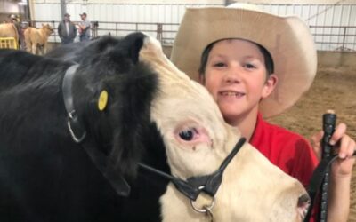 4-H Beef Clubs